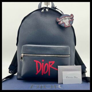 Christian Dior - 【超絶レア・即完売モデル】DIOR × STUSSY 限定 バックパック レザー