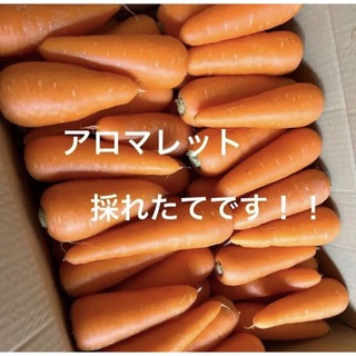 小さな人参10キロ(野菜)