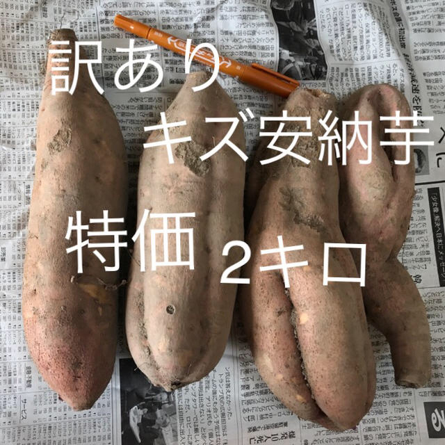 ありありさま専用  訳ありキズ 安納芋 2キロ 特価 食品/飲料/酒の食品(野菜)の商品写真