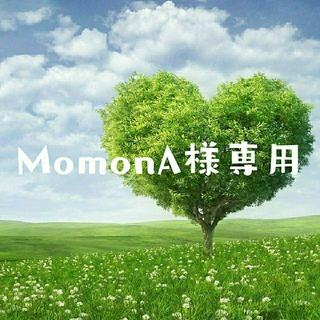 MomonA様専用 シナリー
