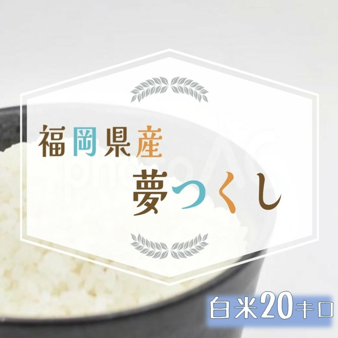 お米　夢つくし　20kg　白米　4年産-