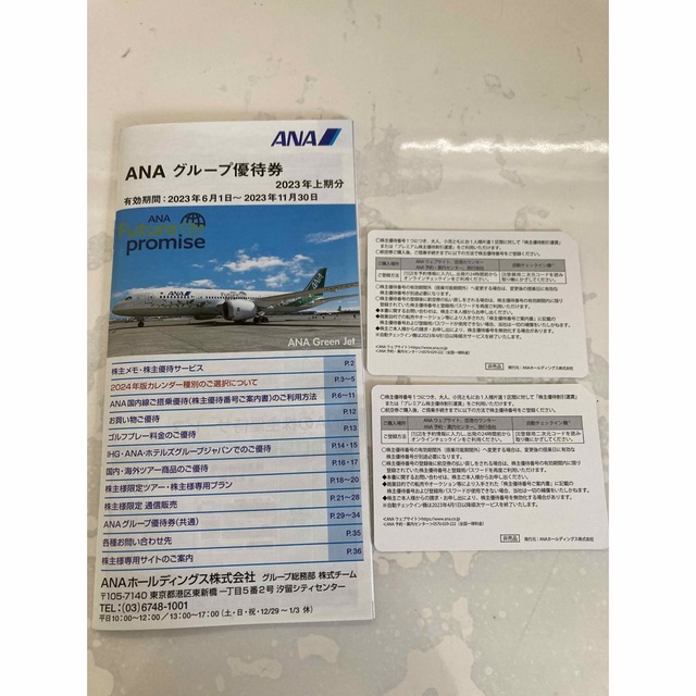ANA(全日本空輸)(エーエヌエー(ゼンニッポンクウユ))のANA グループ優待券 チケットの乗車券/交通券(航空券)の商品写真
