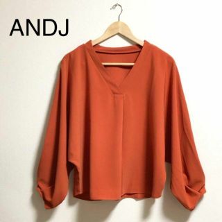 アンドジェイ(ANDJ)の⭐︎ANDJ アンドジェイ　美品　ブラウス　Vネック　ゆったりめ　長袖　オレンジ(シャツ/ブラウス(長袖/七分))