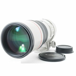 キヤノン(Canon)のキャノン Canon EF 300mm F4 L IS USM(レンズ(単焦点))