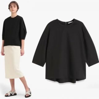 セオリーリュクス(Theory luxe)の花かご様専用theory luxe 21SS 完売 ウォッシャブル プルオーバー(カットソー(長袖/七分))