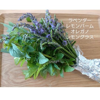 【季節物・6月下まで】オーガニックハーブの詰め合わせ(野菜)