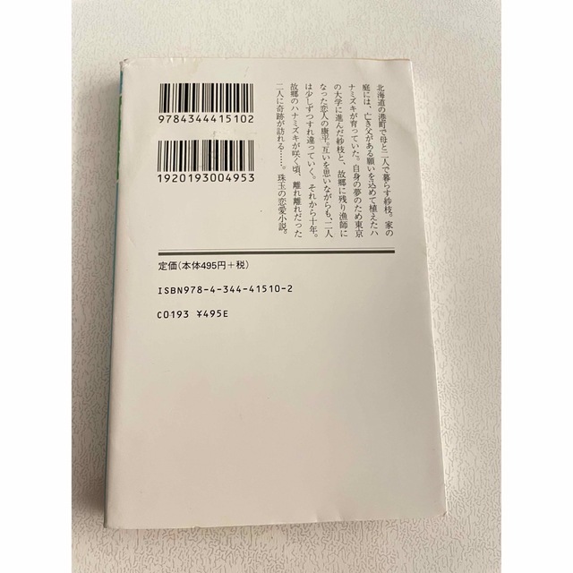 ハナミズキ エンタメ/ホビーの本(文学/小説)の商品写真