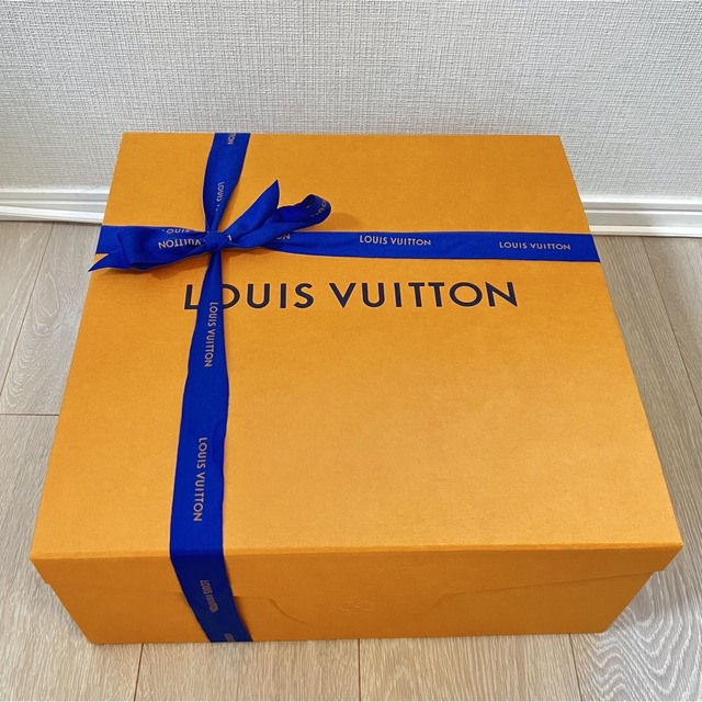 LOUIS VUITTON(ルイヴィトン)の⭐️新品未使用⭐️ カプシーヌ BB スノー レディースのバッグ(ハンドバッグ)の商品写真