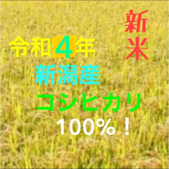 令和4年収穫　新潟県産コシヒカリ玄米30キロ