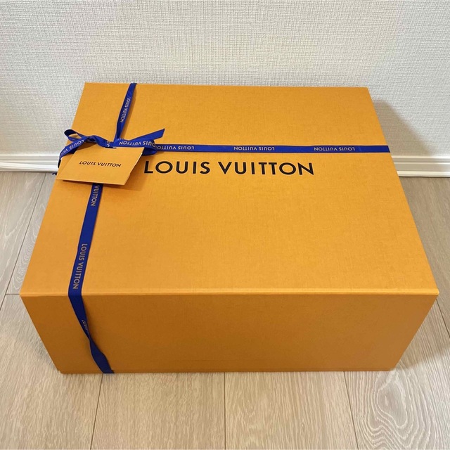 LOUIS VUITTON(ルイヴィトン)の⭐️新品未使用⭐️限定モデル カプシーヌ MM レディースのバッグ(ハンドバッグ)の商品写真