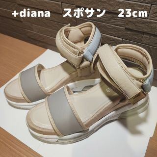 ダイアナ(DIANA)のDIANA　スポーツサンダル　23cm(サンダル)