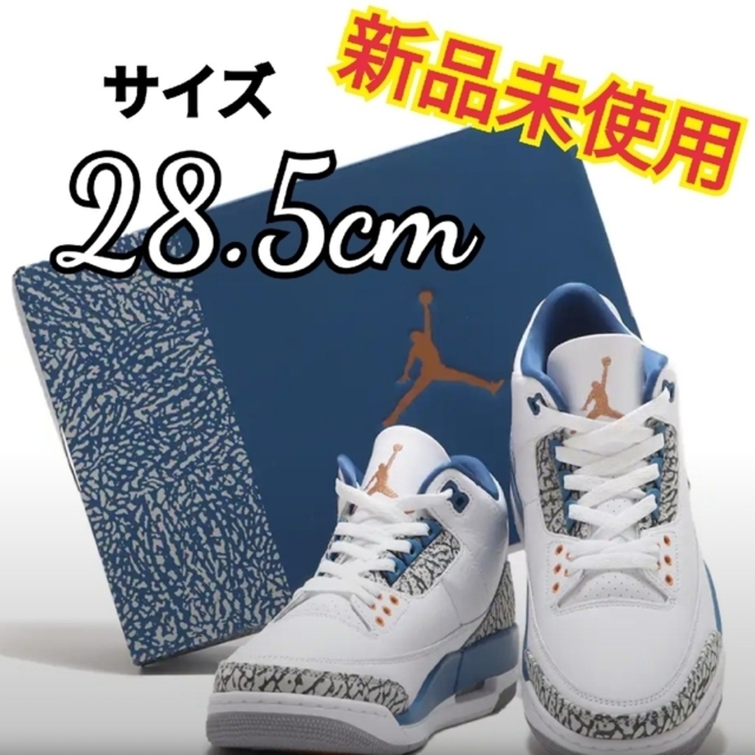 ★Nike Air Jordan 3 Retro "True Blue★28.5ジョーダン3