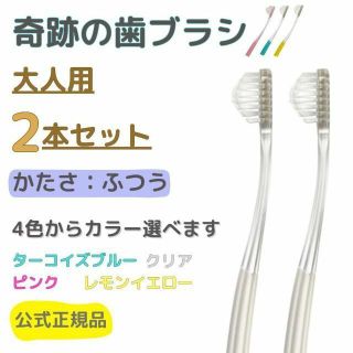 奇跡の歯ブラシ 大人用 2本セット 色選べます！(本数変更も可能)(歯ブラシ/デンタルフロス)