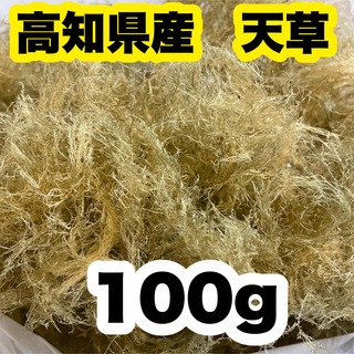 高知県産　白緑さらし天草　100g  ところてん　寒天　天然テングサ　自然食品(乾物)