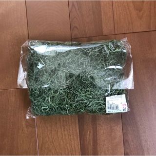 スパニッシュモス（グリーン）未開封50g  大地農園　ドライ花材　プリザーブド(ドライフラワー)