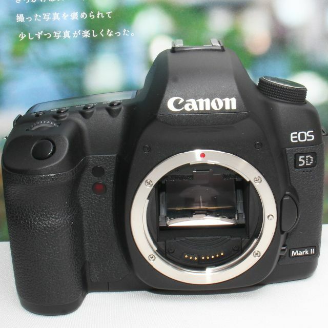 ❤️予備バッテリー付き❤️Canon EOS 5D mark II ダブルズーム