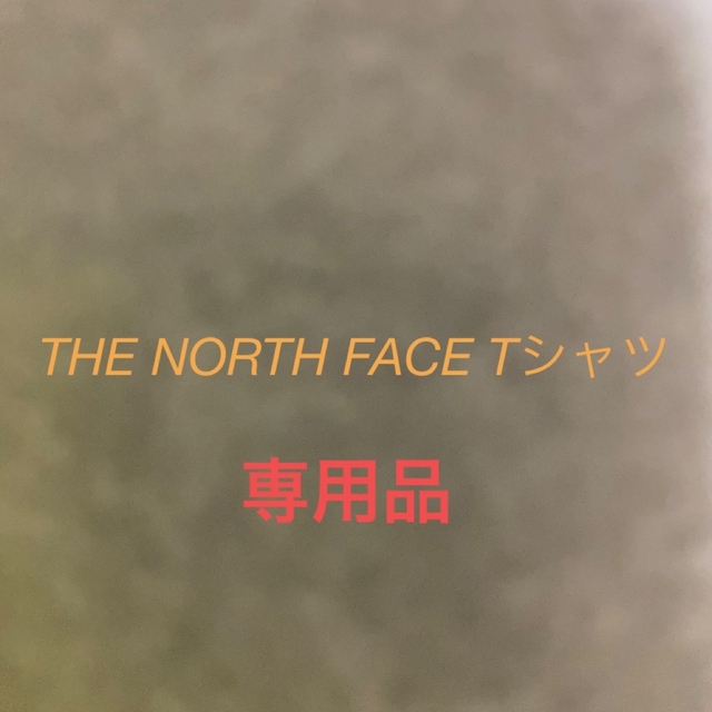 THE NORTH FACE(ザノースフェイス)のTHE NORTH FACE   Tシャツ メンズのトップス(Tシャツ/カットソー(半袖/袖なし))の商品写真