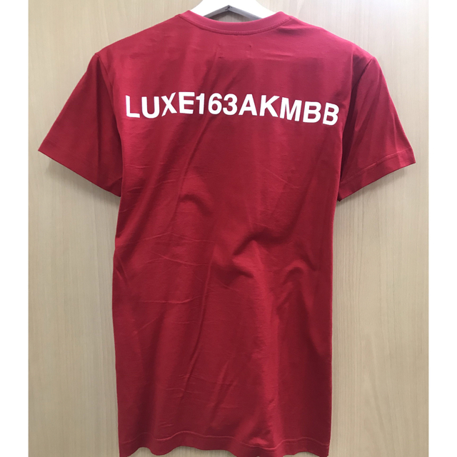 【美品】AKM LUXE163 Tシャツ