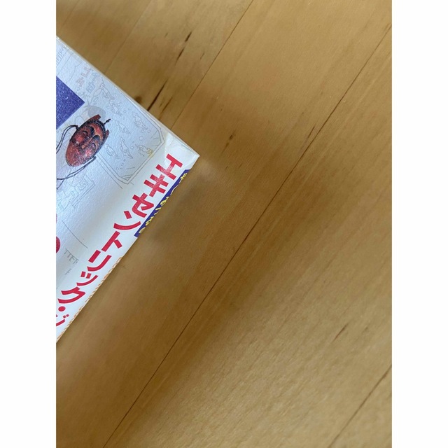 やくみつるの エキセントリック・ジャーニー エンタメ/ホビーの本(趣味/スポーツ/実用)の商品写真