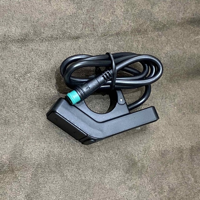 海外販売× 新品未使用 Eggrider V2 エッグライダー 正規店購入 MATE