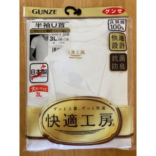 グンゼ(GUNZE)のグンゼ　快適工房　半袖U首　3L(Tシャツ/カットソー(半袖/袖なし))