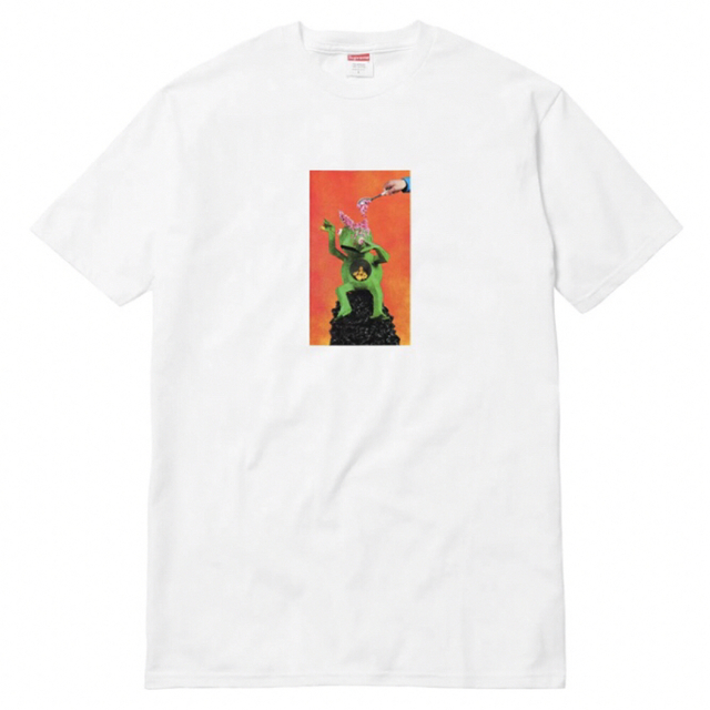 supremeSupreme Mike Hill Brains Tee