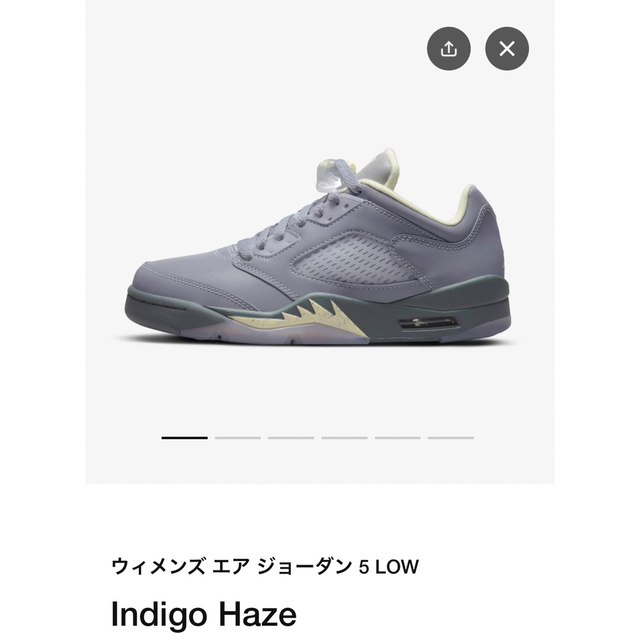 ジョーダン 5 Low サイズは25.5