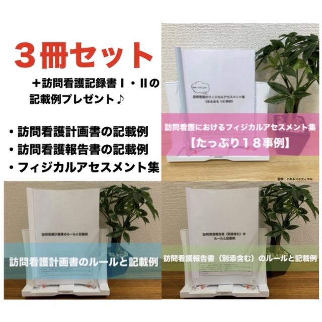 【３冊セット】訪問看護報告書・計画書のルールと記載例＋フィジカルアセスメント集 エンタメ/ホビーの本(語学/参考書)の商品写真