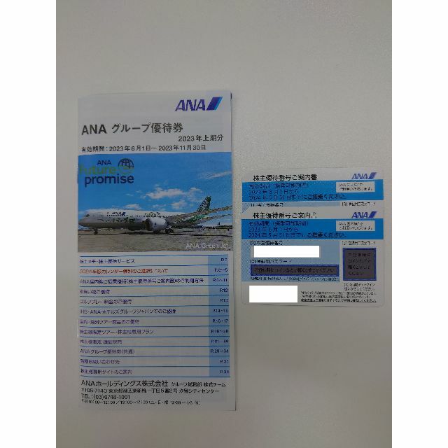 ANA 株主優待券 2枚 チケットの乗車券/交通券(航空券)の商品写真