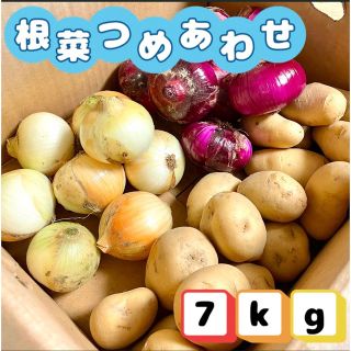 【特価】新玉ねぎ 新じゃが 根菜詰め合わせ 7kg(野菜)