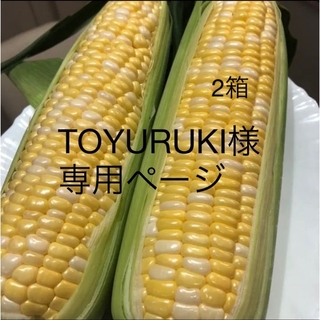 TOYURUKI様専用ページ(野菜)