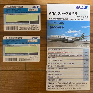 エーエヌエー(ゼンニッポンクウユ)(ANA(全日本空輸))の✈️ ANA優待券(2枚)グループ優待券(1枚)✈️(航空券)