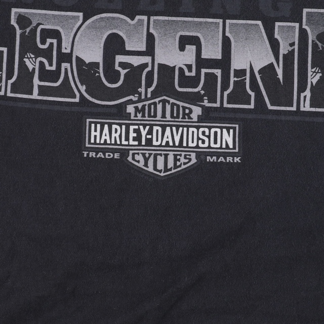 ヘインズ Hanes Harley-Davidson ハーレーダビッドソン 両面プリント モーターサイクル バイクTシャツ メンズS /eaa342735