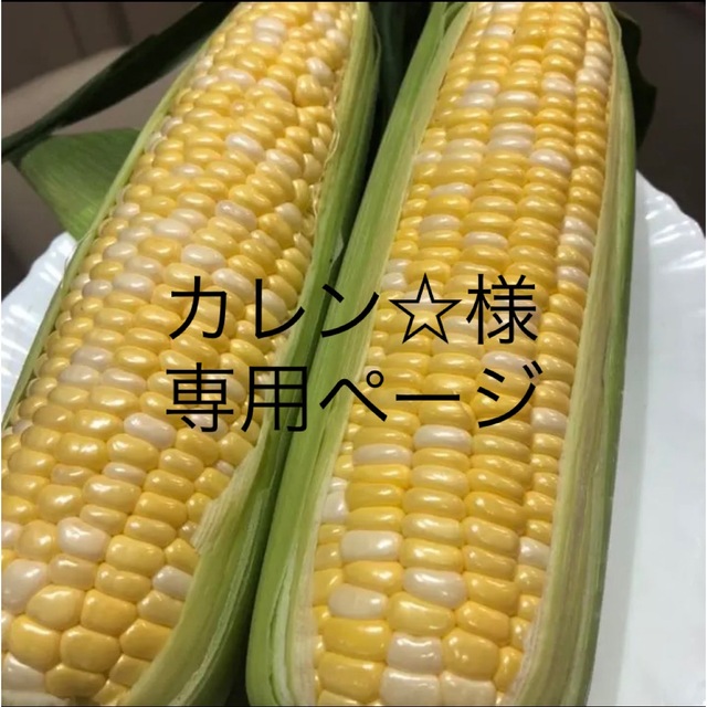 SALE／95%OFF】 カレン様専用ページ lepiceriedeshalles.coop