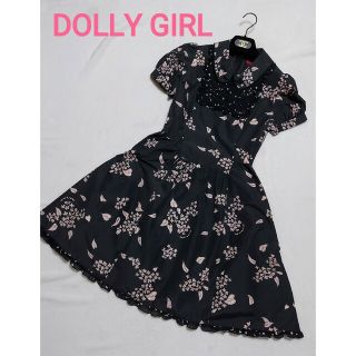 ドーリーガールバイアナスイ(DOLLY GIRL BY ANNA SUI)の美品☆ドーリーガール DOLLY GIRLワンピース 黒 1 S 花柄 シフォン(ひざ丈ワンピース)