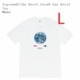 supreme north face one world L white