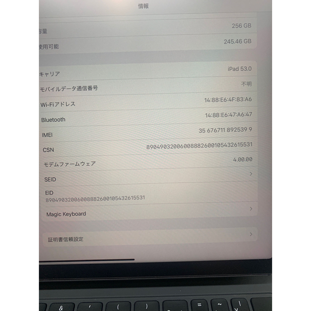 iPad Air4 256GB A2072 Wi-Fi＋セルラーモデル