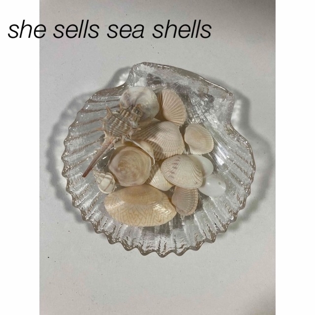 she sells sea shells  貝殻とお皿 ハンドメイドのウェディング(その他)の商品写真