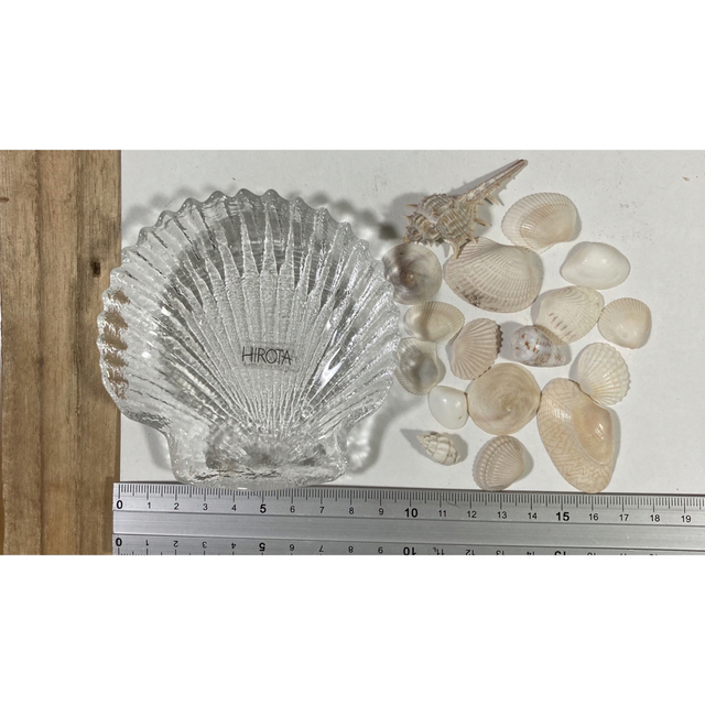 she sells sea shells  貝殻とお皿 ハンドメイドのウェディング(その他)の商品写真