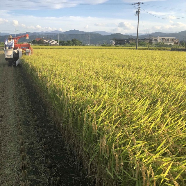 低農薬　令和4年産　あきさかり　　　　　玄米10キロ 食品/飲料/酒の食品(米/穀物)の商品写真