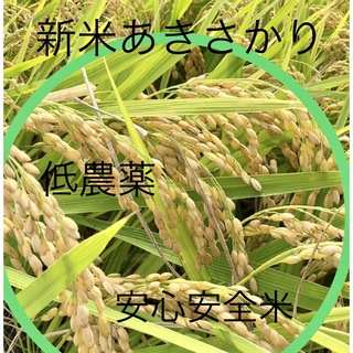 低農薬　令和4年産　あきさかり　　　　　玄米10キロ(米/穀物)