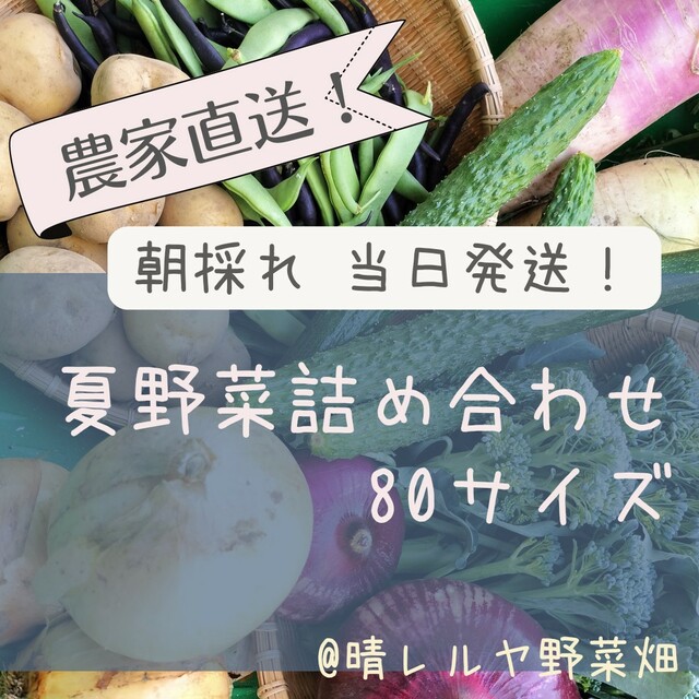 農家直送！朝採れ野菜詰め合わせ 食品/飲料/酒の食品(野菜)の商品写真