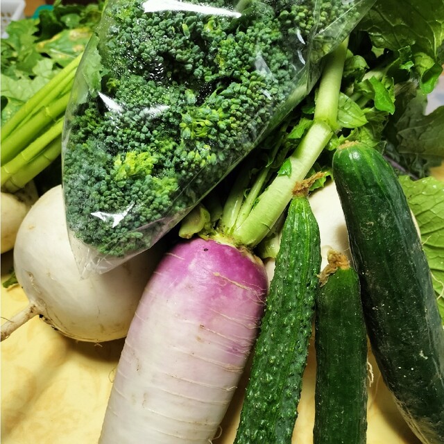 農家直送！朝採れ野菜詰め合わせ 食品/飲料/酒の食品(野菜)の商品写真