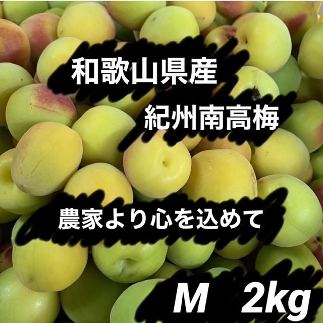 和歌山県産 紀州南高梅 Mサイズ 箱込み約2kg以上 食品/飲料/酒の食品(フルーツ)の商品写真