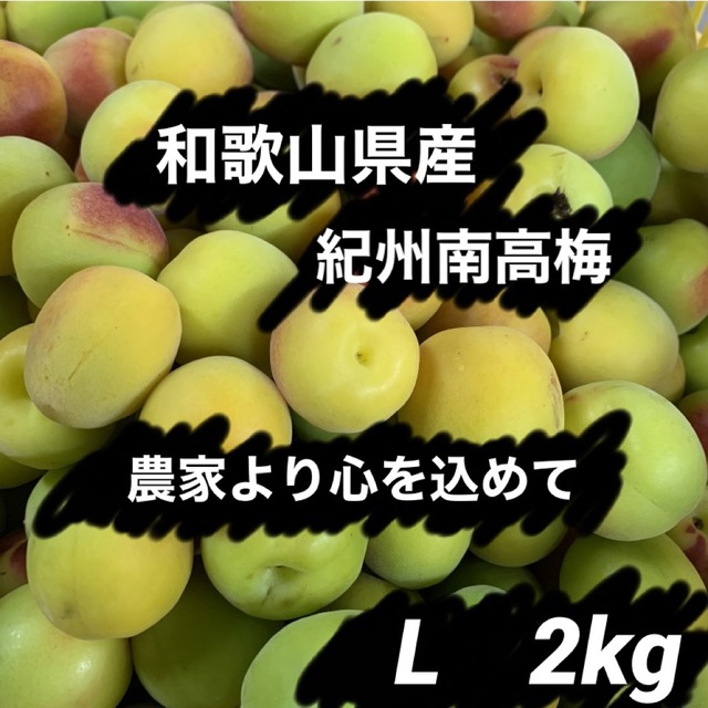 和歌山県産 紀州南高梅 Lサイズ 箱込み約2kg以上 食品/飲料/酒の食品(フルーツ)の商品写真