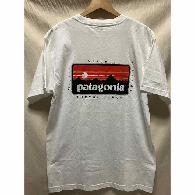 極美品 patagonia Tシャツ 東京 渋谷 目白 神田 M 廃番希少品Tシャツ/カットソー(半袖/袖なし)