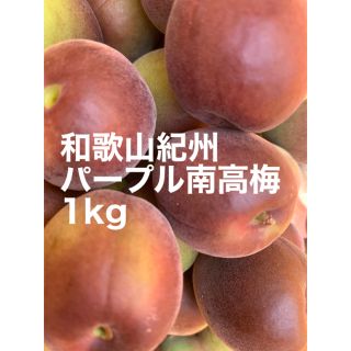 和歌山紀州パープル南高梅　1kg(フルーツ)