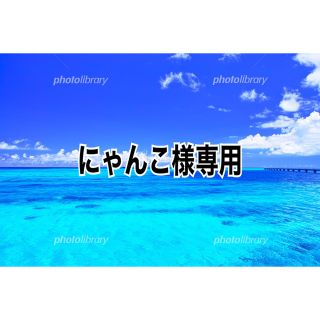 嵐バッグ🍀b BLAST in Hawaii🍀レジカゴバッグ(バッグ)