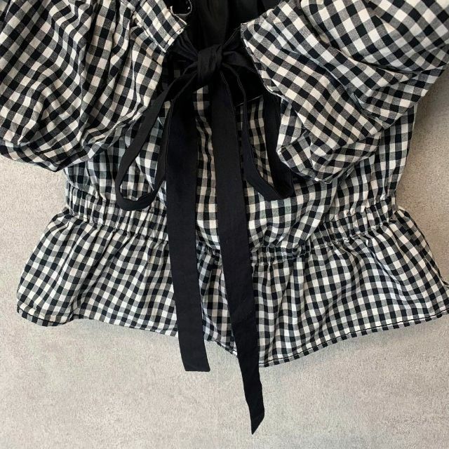 美品 レジーナピョウ ブラウス ギンガムチェック(S)ショート丈