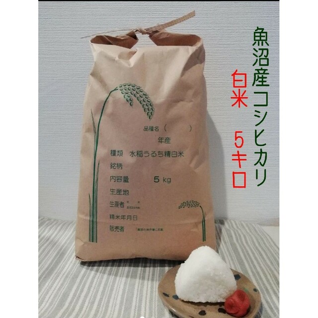 shop｜ラクマ　by　せんごろう's　お米5kg　令和4年魚沼産コシヒカリ白米の通販